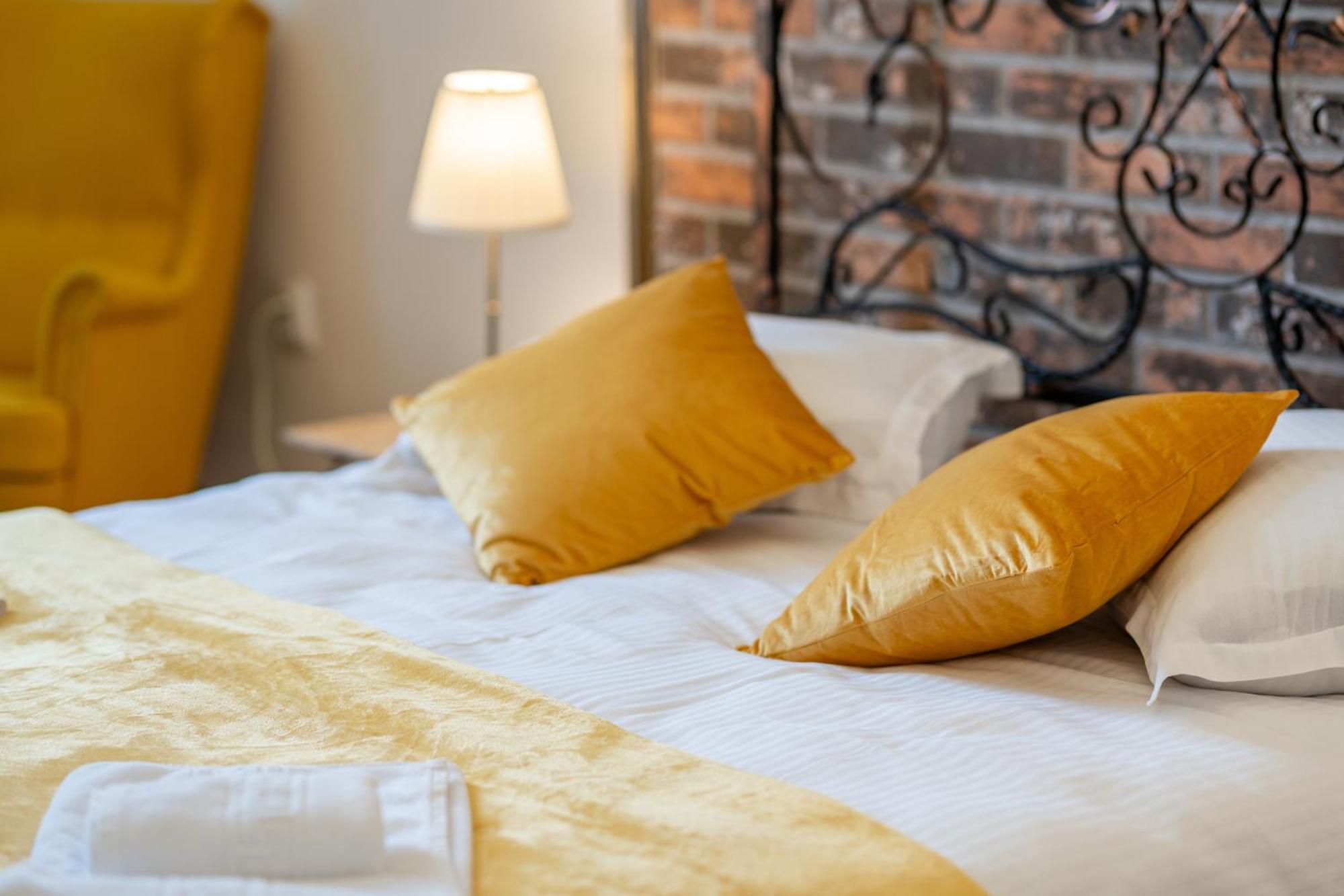 Cozy Spacious 5 Star Accommodation In The Heart Of Historic Center Cluj-Napoca Exterior photo